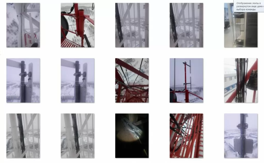gpp1.webp